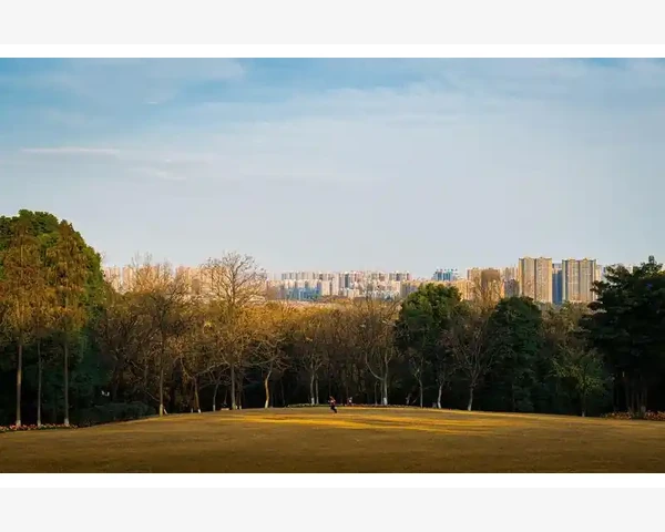 儿童多痰清肺热——中医传统方法帮你最快解决！
