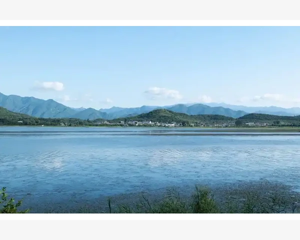 三伏贴穴位按摩：凝神聚气，舒缓身心，享受中医传统按摩之福