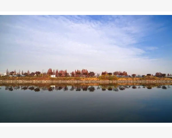 产妇便秘怎么调理？吃什么好用？